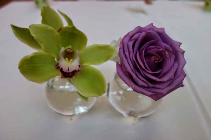 BAM! Nonprofessional pics & some tips