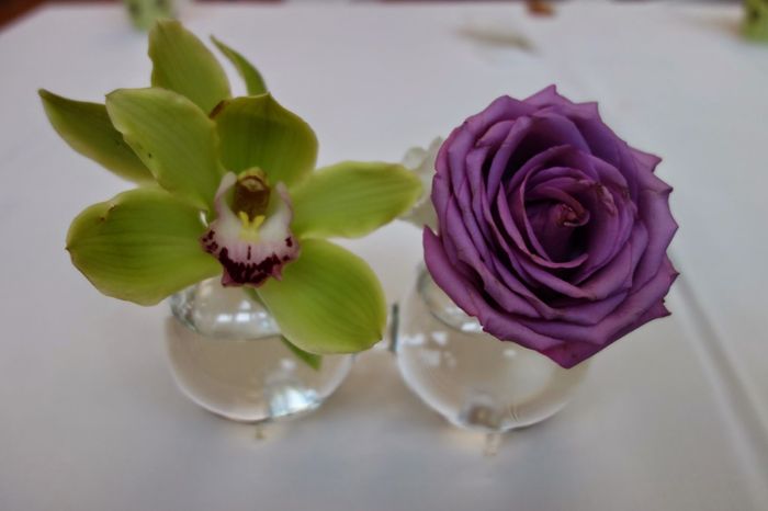 BAM! Nonprofessional pics & some tips