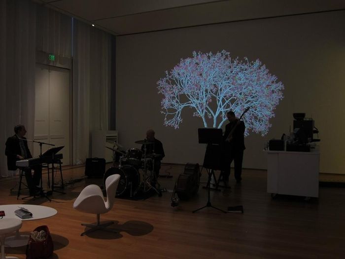 BAM! Nonprofessional pics & some tips