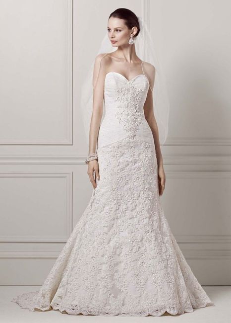 Show me your Davids Bridal dresses:)