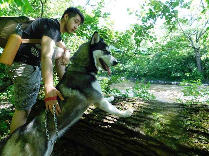 Show me your fiance and pet - 1