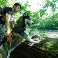 Show me your fiance and pet - 1