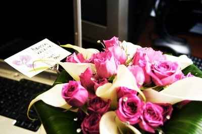 a few pro pics (TRUE LIGHT IMAGES)updated