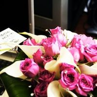 a few pro pics (TRUE LIGHT IMAGES)updated