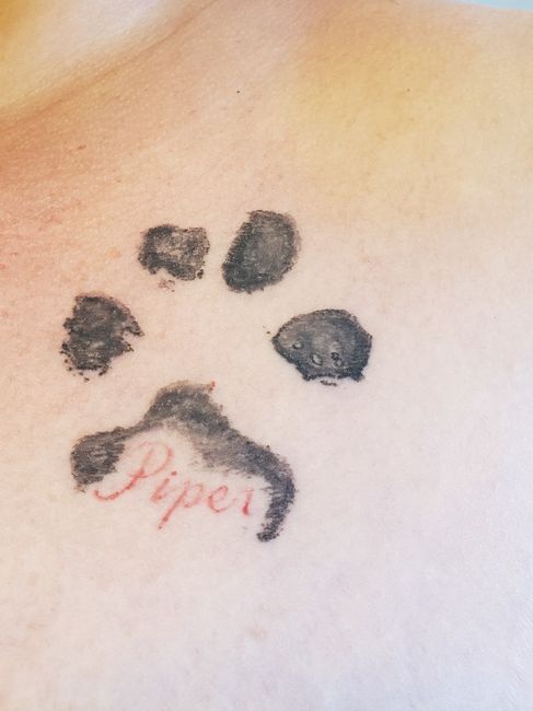 Ink cover or no (pic heavy) 6