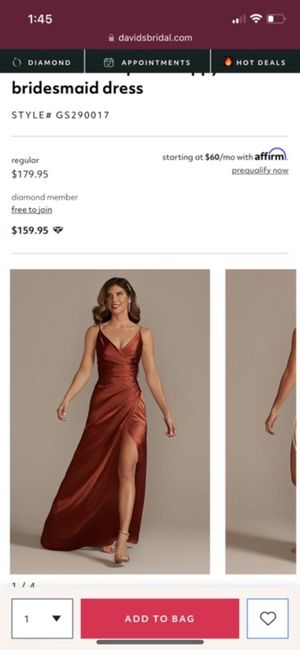 Help-pashmina Color for David’s Bridal Cinnamon Dress 2