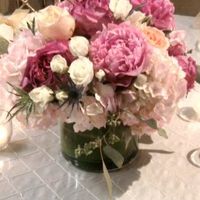 Whats your wedding colors ladies mines are....