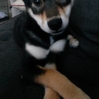 Happy Fursday Everyone!! :)