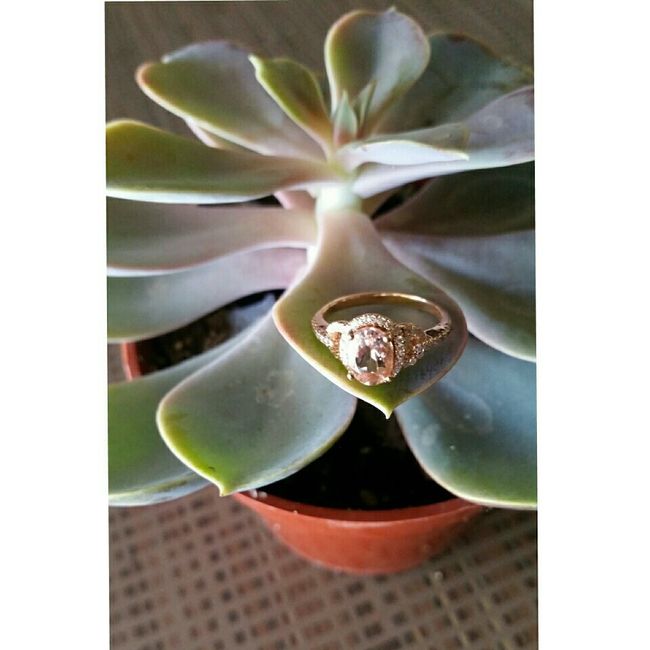 Engagement ring pictures?