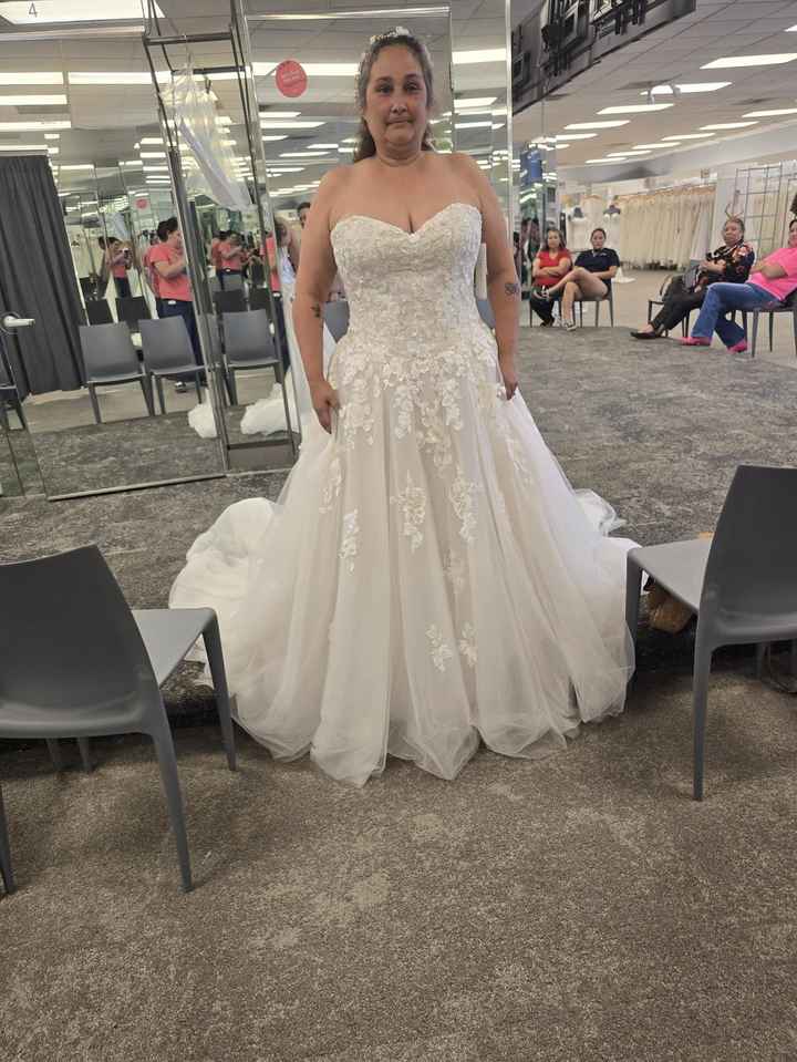 Did You Cry When You Found Your Dress? - 1