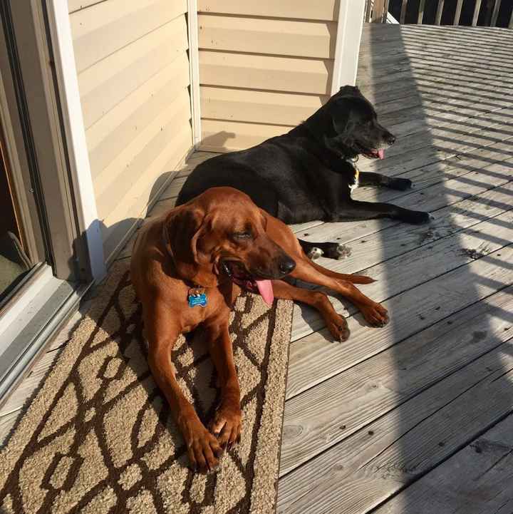 NWR: Show me your pups!