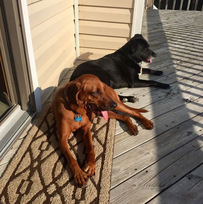 NWR: Show me your pups!