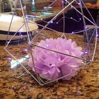 Dragon/fairy Theme - 1