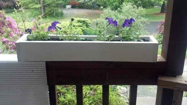 Centerpeice Question!  **pictures**