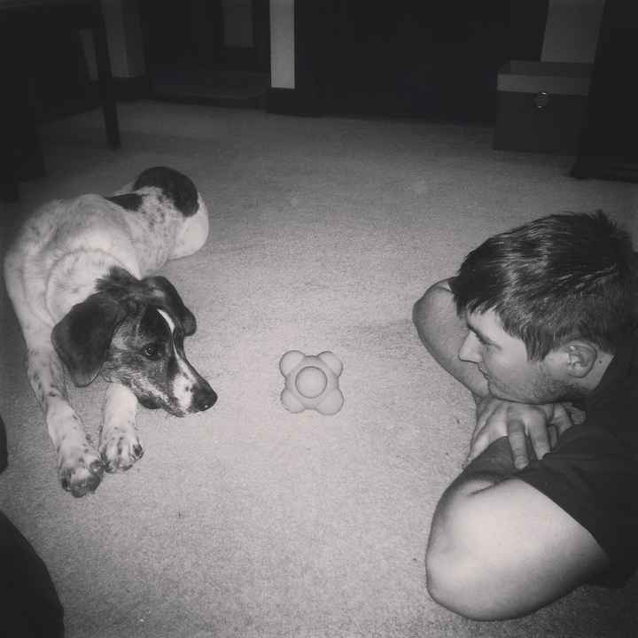 Got a new puppy, lets see a pic of your pets