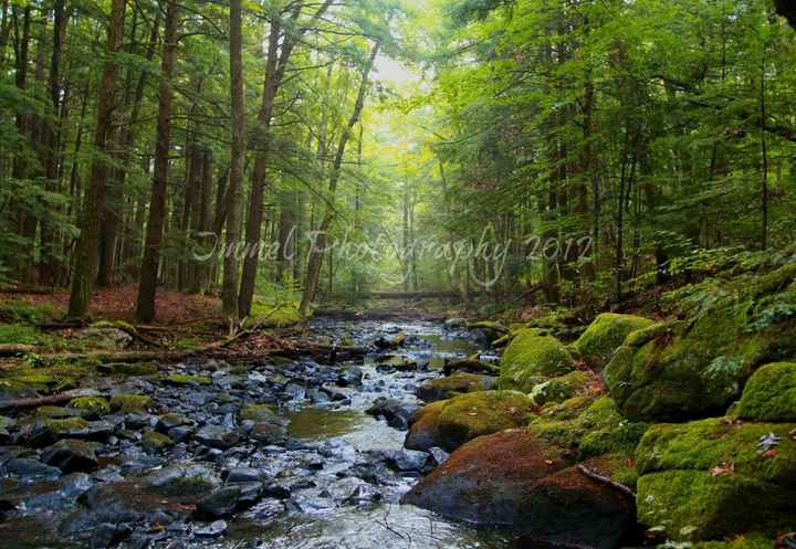 New Hampshire Photos???