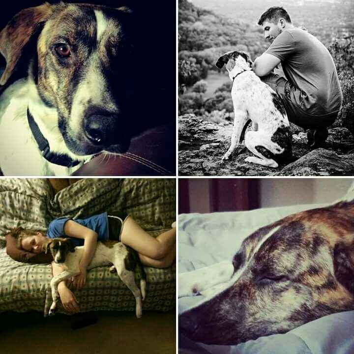 Brag Post - Pet Edition!