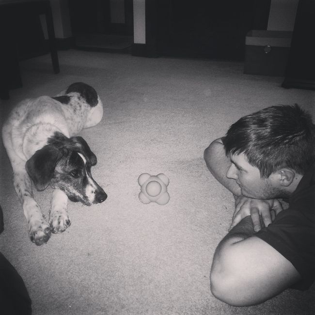 Got a new puppy, lets see a pic of your pets