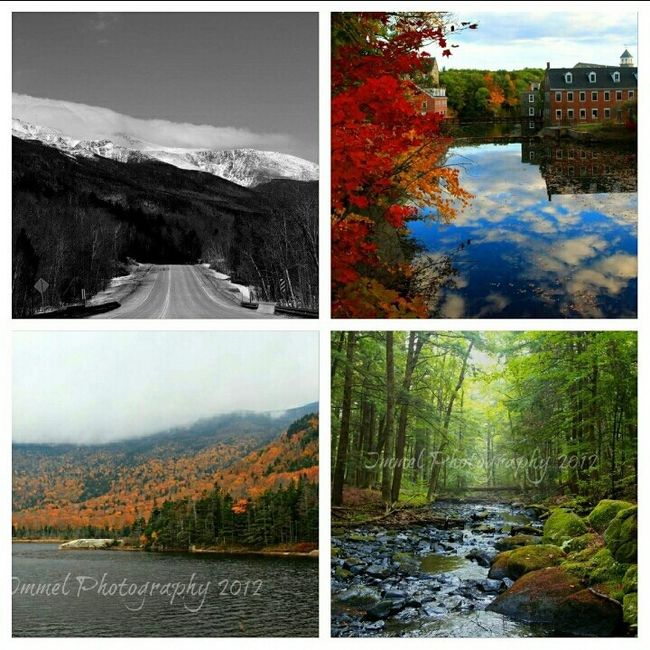 Honeymoon in New England