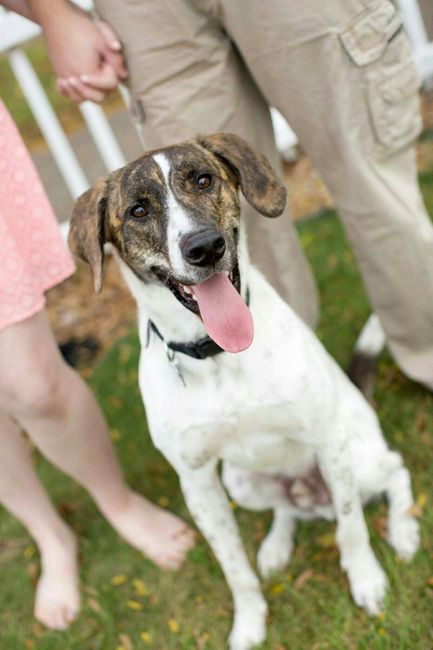 NWR: post pics of your pets!!