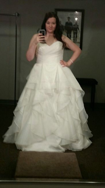 Plus Size/Curvy Dress Shopping