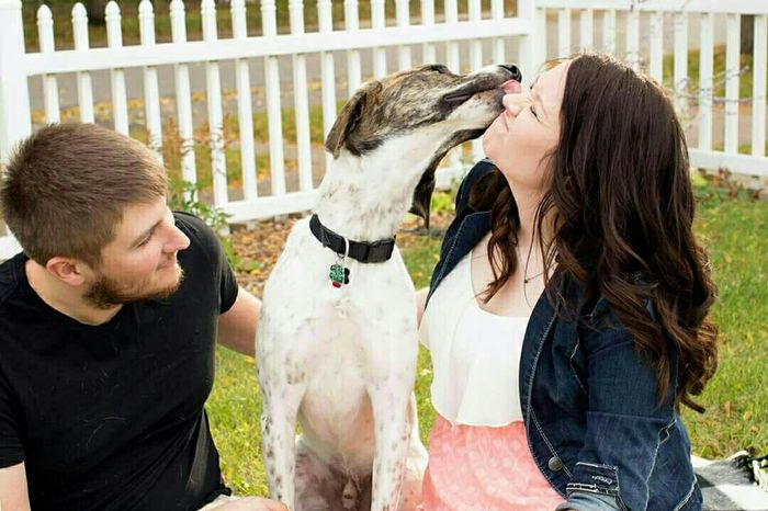 Engagement pictures with doggies