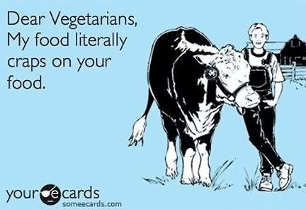 NWR- Funny pictures!