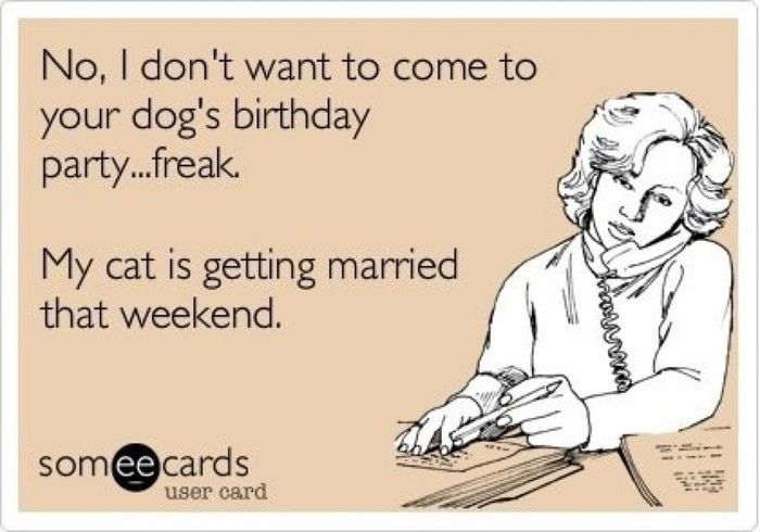 NWR- Funny pictures!
