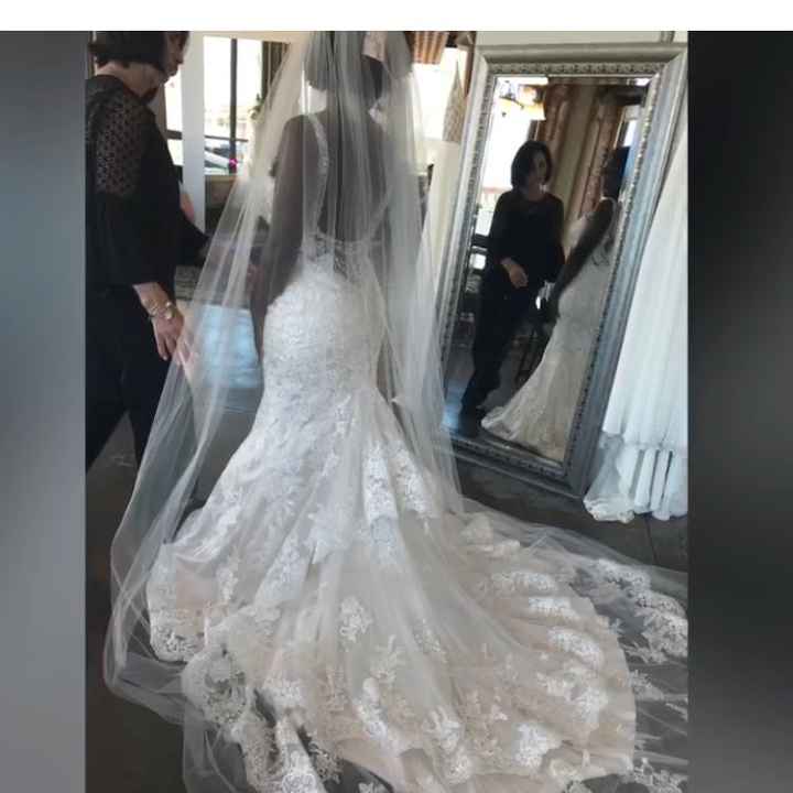  Long Veil or Fingertip Veil - 1