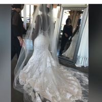  Long Veil or Fingertip Veil - 1