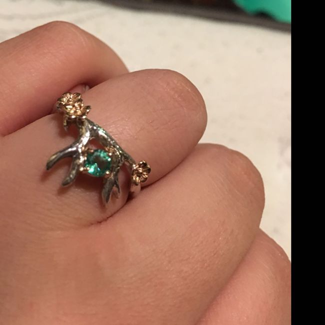 Who else has gemstones in their ring(s)?  Let's see them! 14