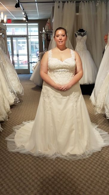 Plus size bride - 1