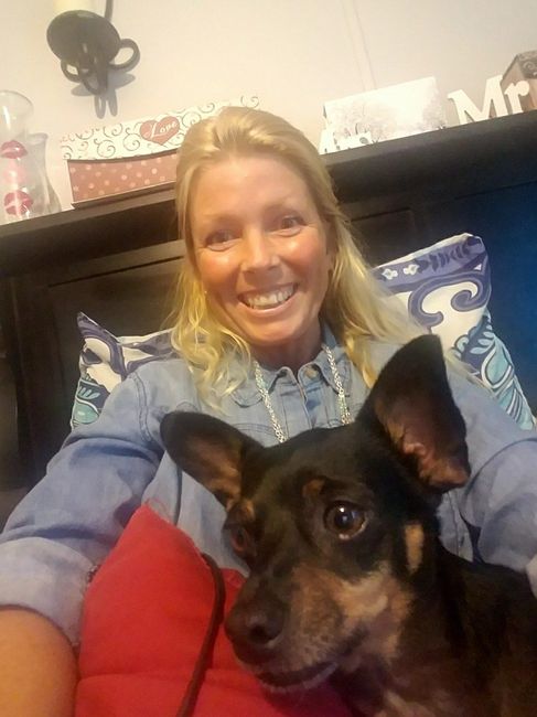 Furbaby pick me up