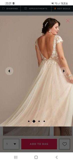 Dress too small (davids bridal) 1
