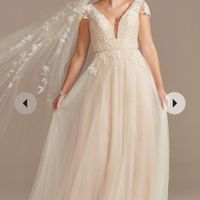 Dress too small (davids bridal) - 1