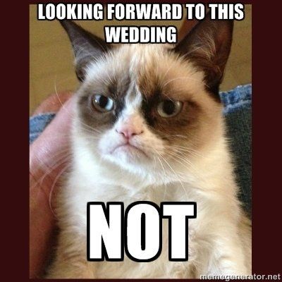 NWR: Favorite meme?