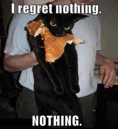 Awesomest thing...ever!!