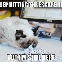 Awesomest thing...ever!!