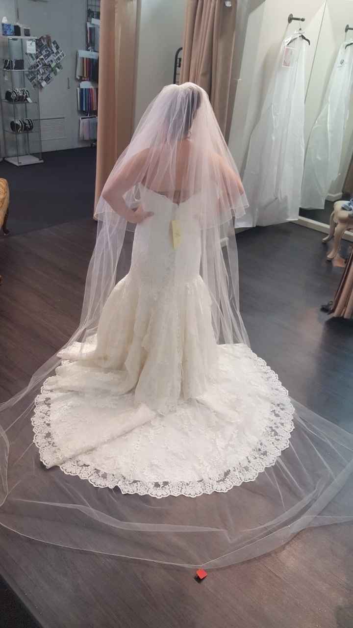 My dress is in!