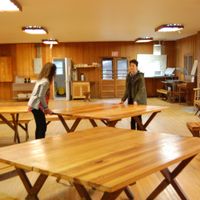 Should I use table linens?