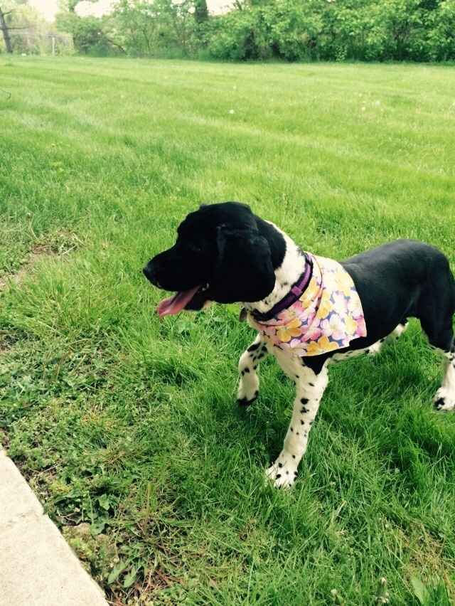 NWR Happy Fursday!!!