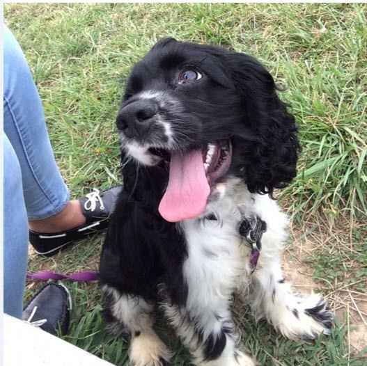 NWR: Show off your furbabies!