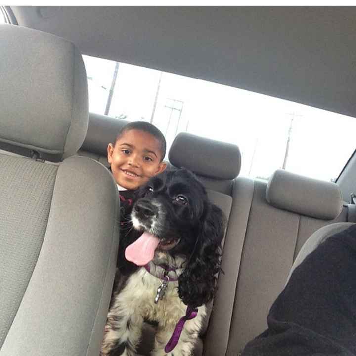 NWR: Show off your furbabies!