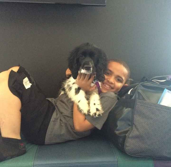 NWR: Show off your furbabies!