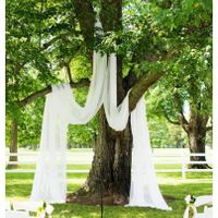 Change in Ceremony Location --Tree Draping?