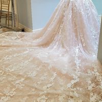 "Blush"ing brides! Let's see those blush colour wedding dresses! - 2