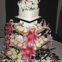 cakes vs cupcakes???