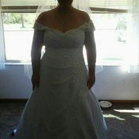 Let me see your dress.