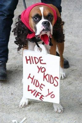 It's funny photo time!