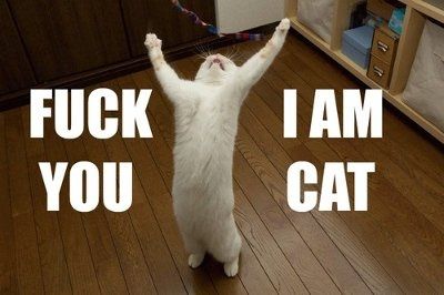 It's funny photo time!